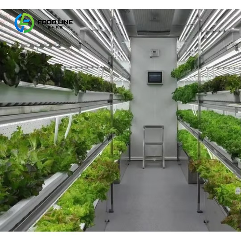 Hydroponic Farming Agriculture - カスタマイズ可能なスマートファーム垂直NFT水耕栽培システム、マイクログリーンや葉物野菜用のスチールコンテナ温室