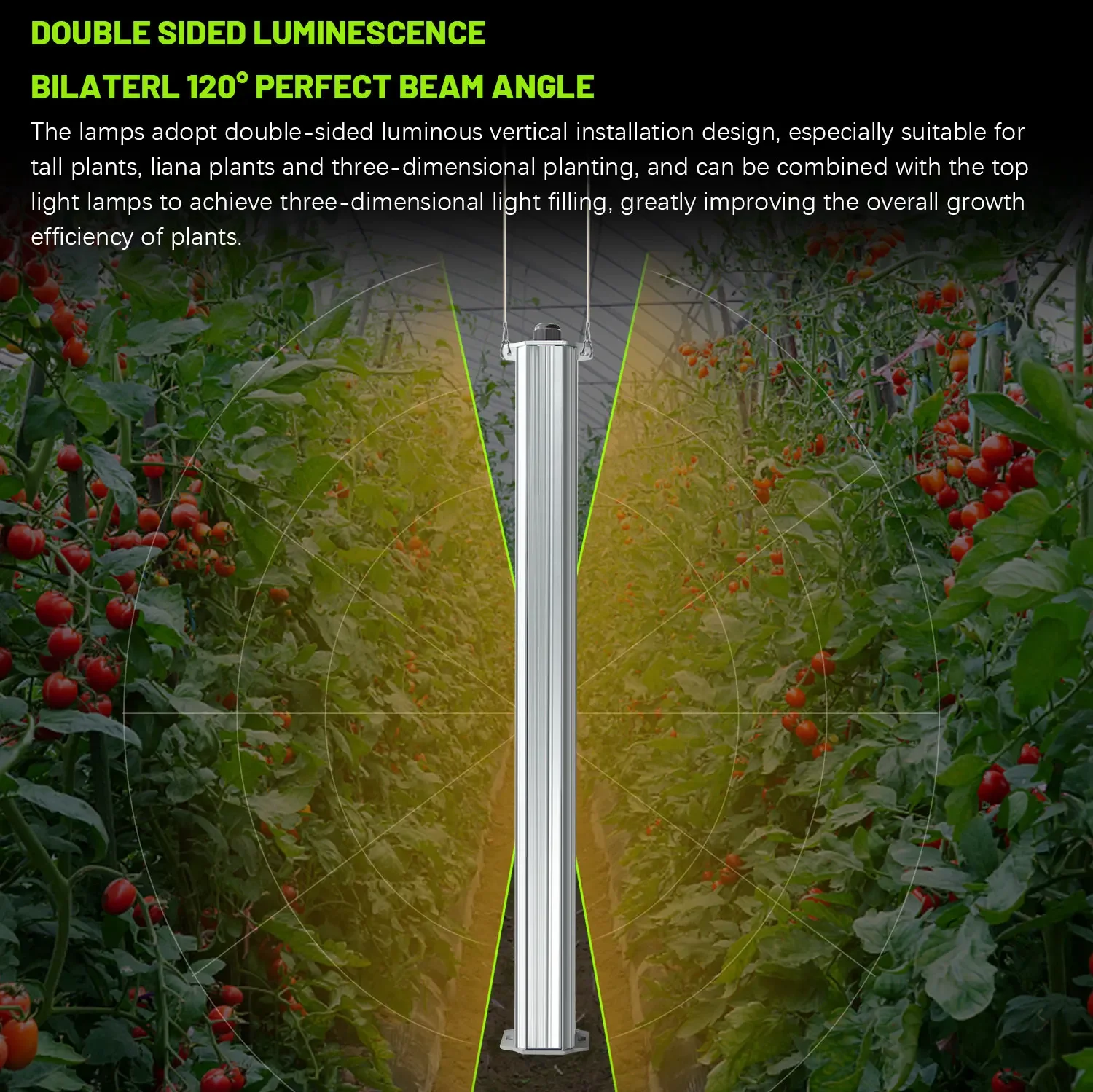 Hydroponic Farming Agriculture - 最高のETL認定プラントグリーンウォール農業用垂直庭園水耕栽培トマトキュウリ両面育成ライト