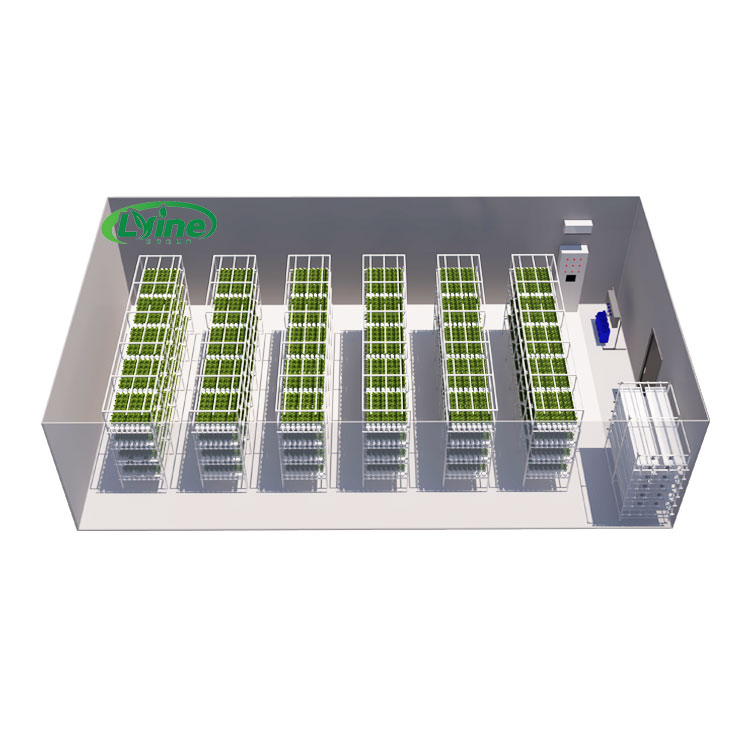 Hydroponic Farming Agriculture - 農業用温室 レタス NFT 水耕栽培システム 垂直水耕栽培ラック NFT