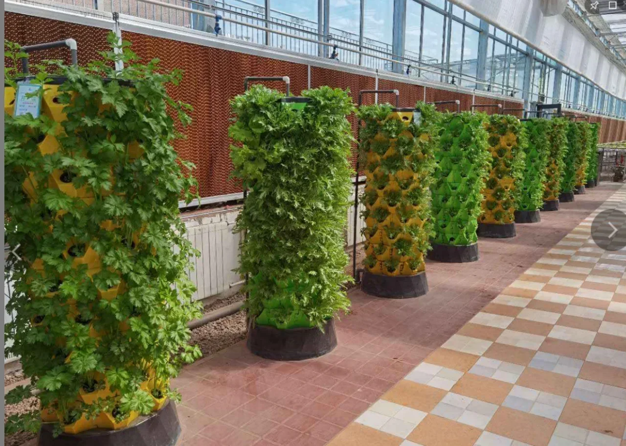 農業用温室 垂直農業 エアロポニックスシステム 水耕栽培タワ - Hydroponic Farming Agriculture のレビューと価格