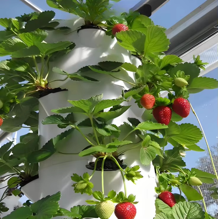 都市農業向けモジュール式水耕栽培壁面航空宇宙システム　新しい - Hydroponic Farming Agriculture のレビューと価格