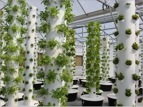 高品質農業家庭菜園屋内垂直農業8層水耕栽培システムエアロポニ - Hydroponic Farming Agriculture のレビューと価格