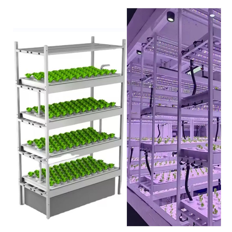 温室農業機器、きのこ、野菜、果物の栽培、垂直農場、水耕栽培タ - Hydroponic Farming Agriculture のレビューと価格