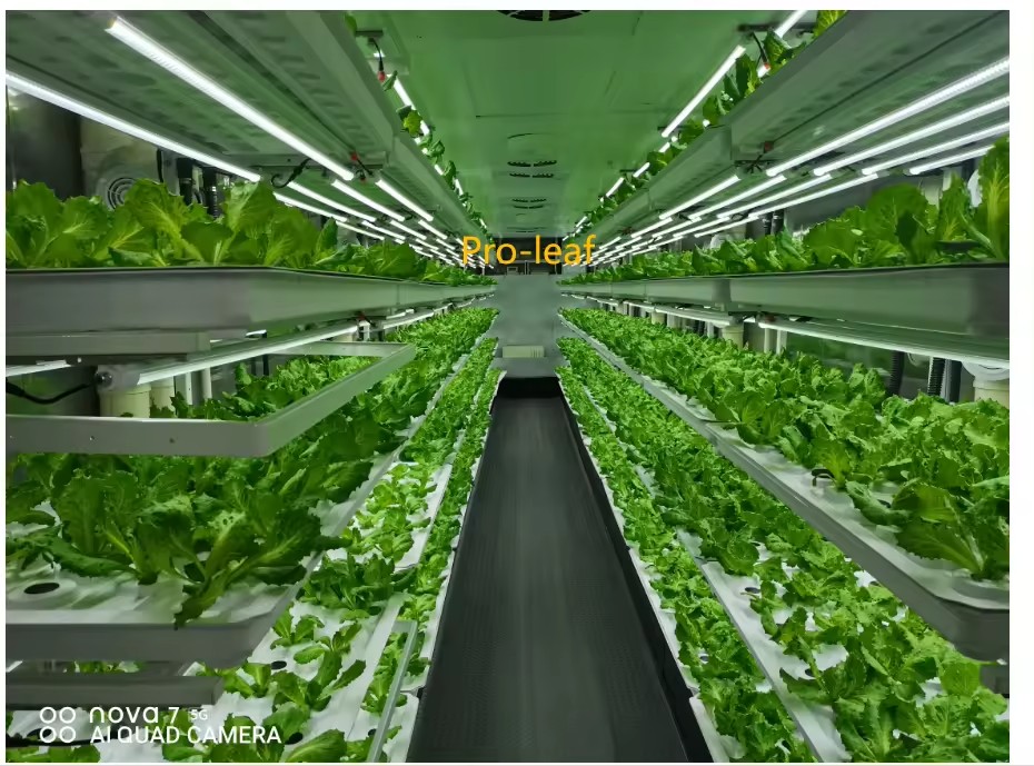 温室農業機器、きのこ、野菜、果物の栽培、垂直農場、水耕栽培タ - Hydroponic Farming Agriculture のレビューと価格