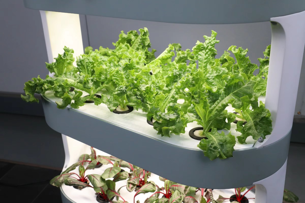 工場卸売ユニークな農場水耕栽培農業機器（屋内植物用） - Hydroponic Farming Agriculture のレビューと価格