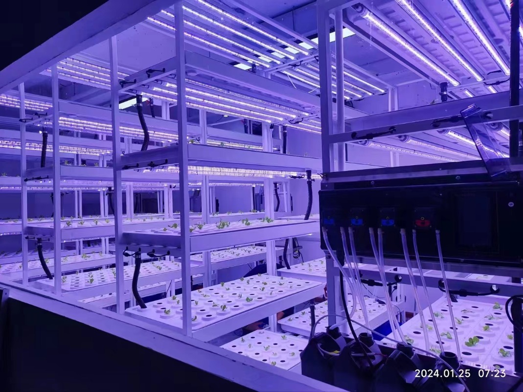小型垂直水耕タワーシステム屋内エアロポニック農業機器温室PC - Hydroponic Farming Agriculture のレビューと価格