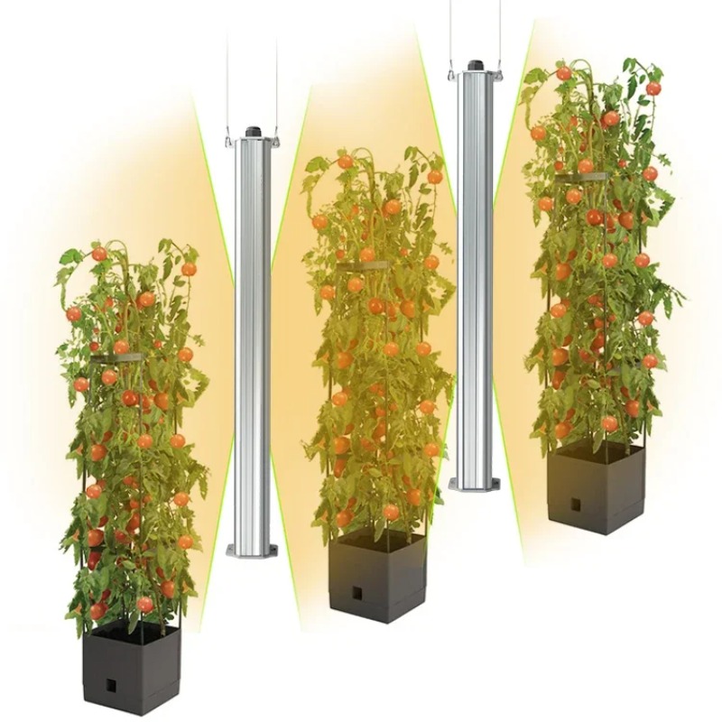 最高のETL認定プラントグリーンウォール農業用垂直庭園水耕栽 - Hydroponic Farming Agriculture のレビューと価格