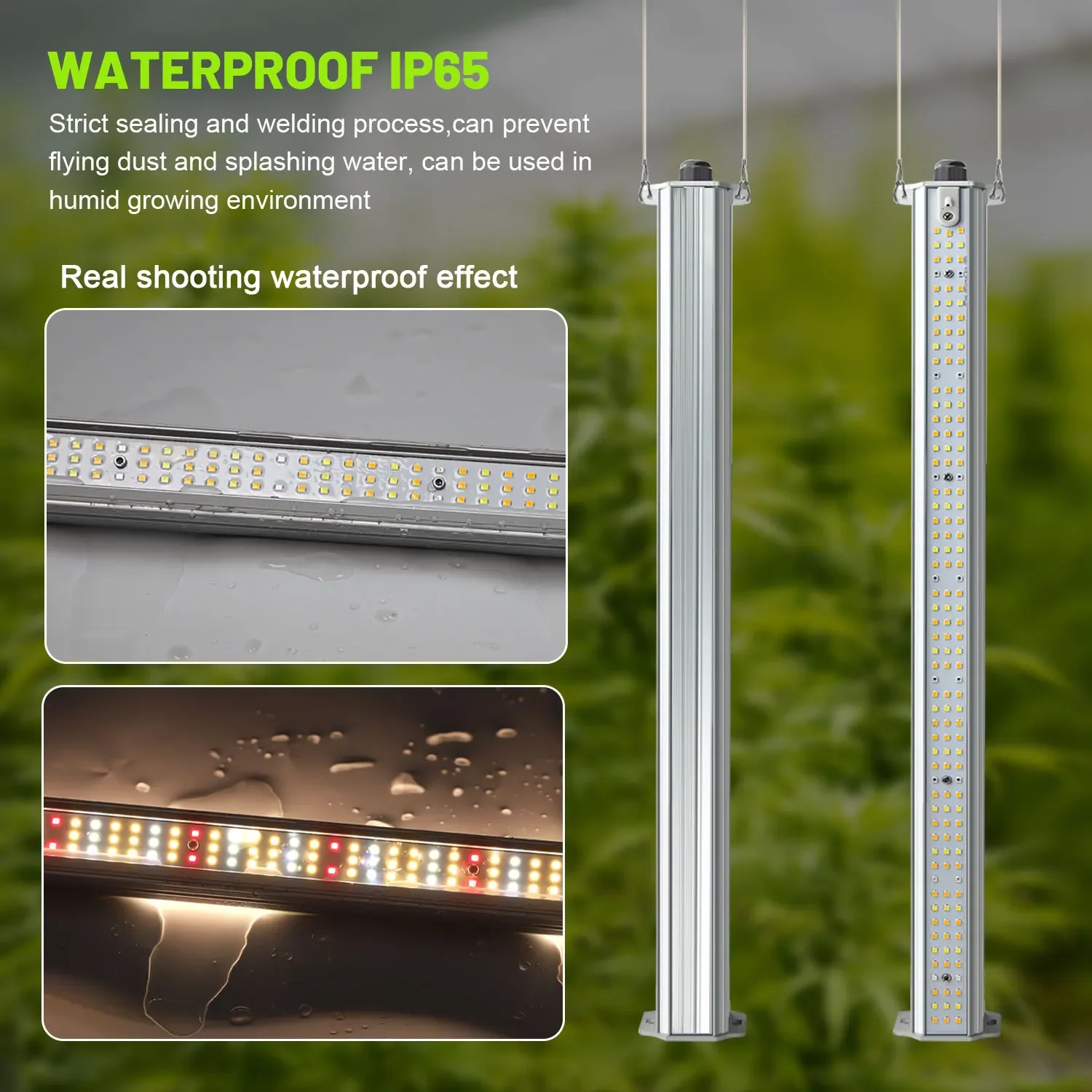 最高のETL認定プラントグリーンウォール農業用垂直庭園水耕栽 - Hydroponic Farming Agriculture のレビューと価格
