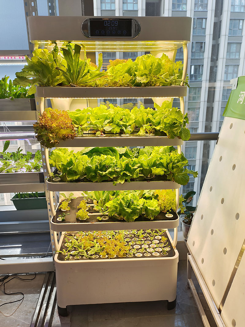 野菜、レタス、イチゴを栽培するための農業機械、垂直栽培システ - Agriculture Farming Equipments のレビューと価格