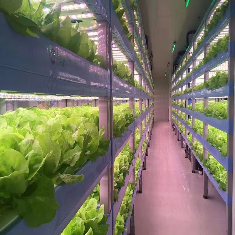 カスタム農業用温室 水耕栽培コンテナシステム 垂直農業 水耕 - Hydroponic Farming Agriculture のレビューと価格