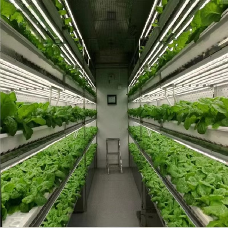 カスタム農業用温室 水耕栽培コンテナシステム 垂直農業 水耕 - Hydroponic Farming Agriculture のレビューと価格