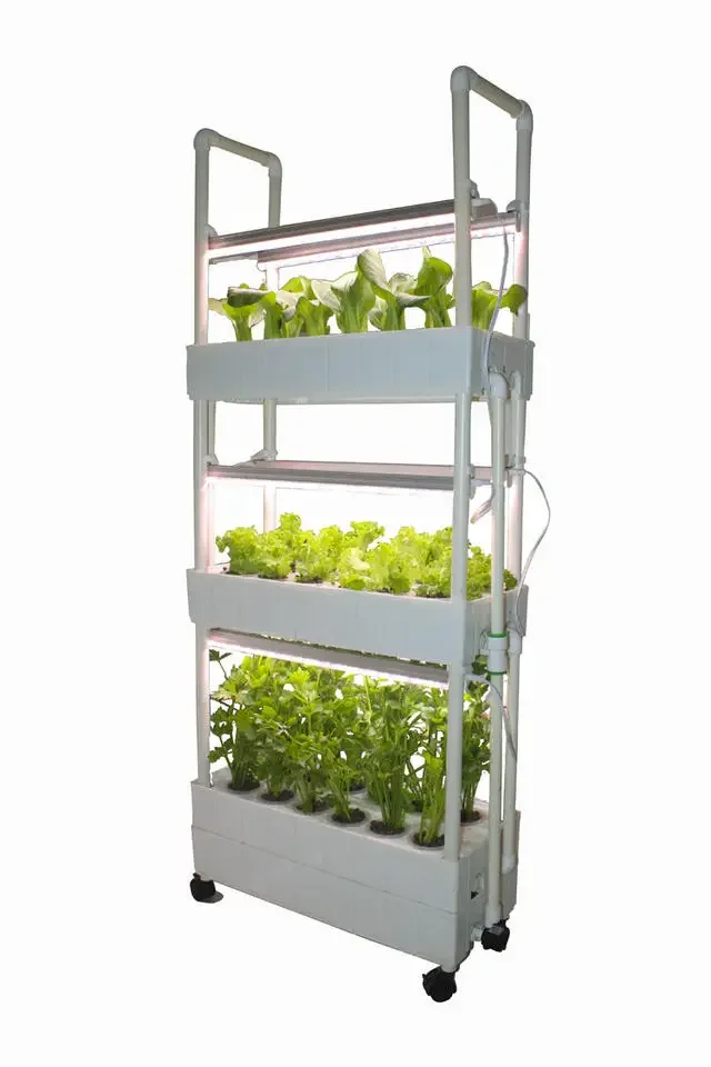 カスタマイズ農業 水耕栽培ラック 垂直型屋内栽培 レタス栽培 - Hydroponic Farming Agriculture のレビューと価格