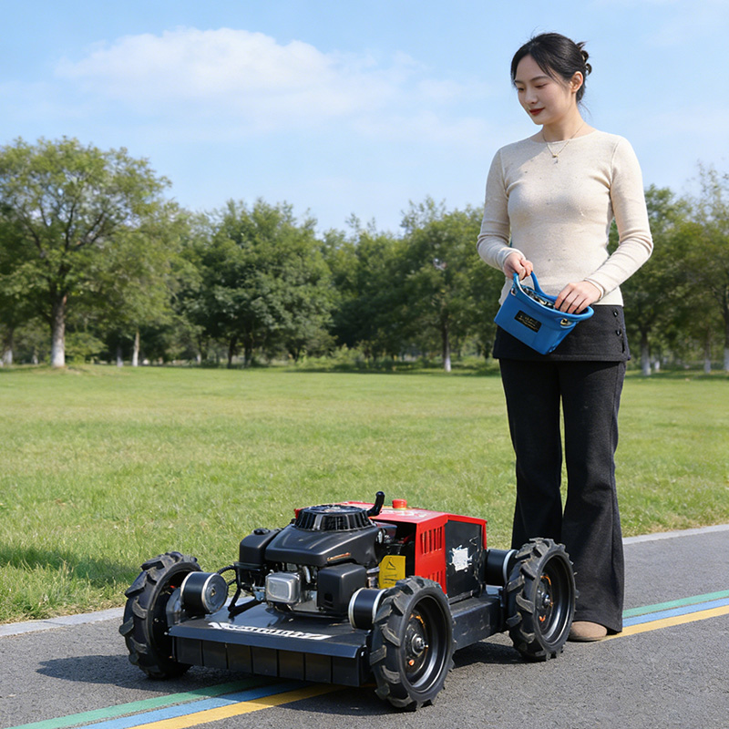 カスタマイズ可能な新型乗用芝刈り機、全地形対応農場用芝刈り機 - Agriculture Farming Products のレビューと価格