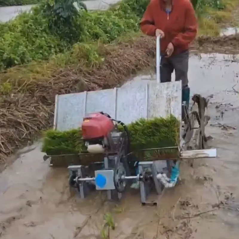 4列式手動農業機械操作式田植機/プランター/稲植機用モーター - Agriculture Farming Rice のレビューと価格