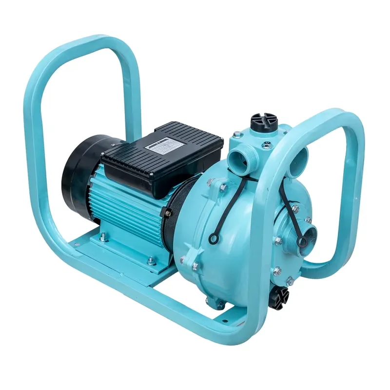高出力1500w農業灌漑家庭用表面ACモーターポンプ2hp  - Farming Pump For Agriculture のレビューと価格