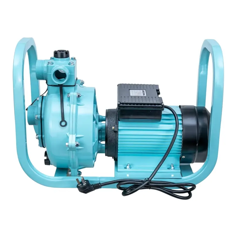 高出力1500w農業灌漑家庭用表面ACモーターポンプ2hp  - Farming Pump For Agriculture のレビューと価格