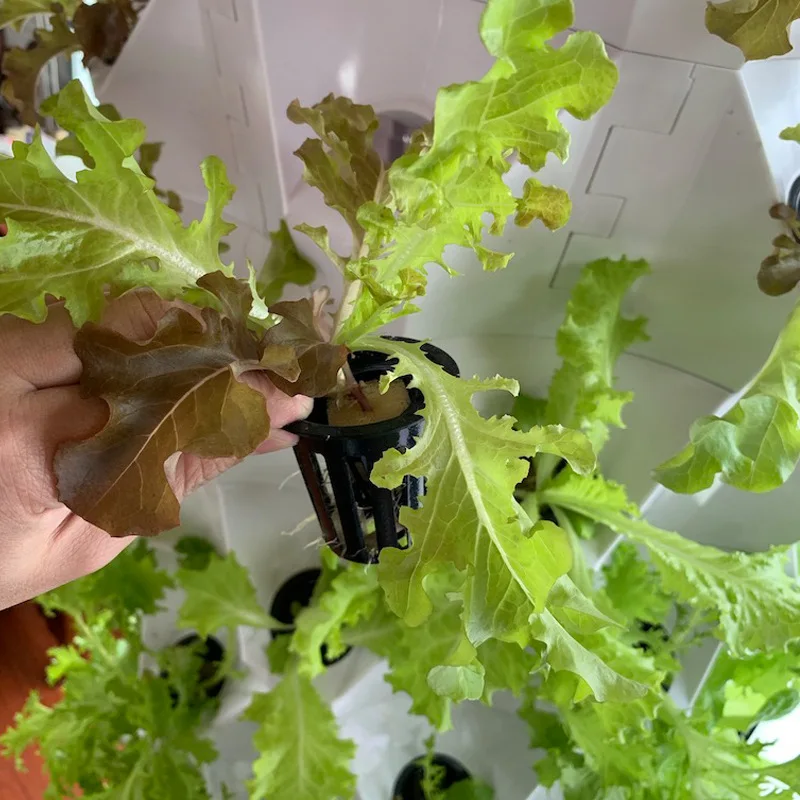 農業用温室垂直農法エアロポニックスシステム水耕栽培タワーガー - Hydroponic Farming Agriculture のレビューと価格