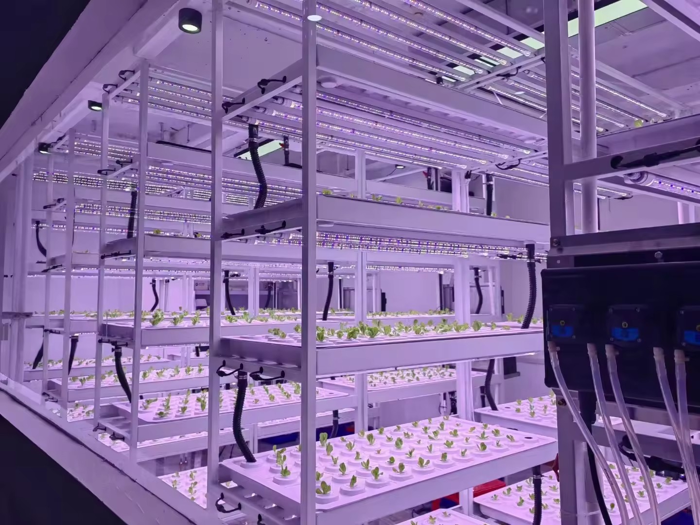 垂直農場水耕栽培タワーシステムエアロポニック栽培タワー屋内栽 - Hydroponic Farming Agriculture のレビューと価格